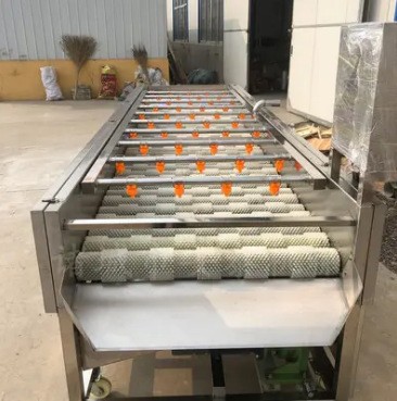 海蠣子毛刷清洗機 白蘿卜平行毛輥清洗機 牡蠣毛輥清洗設備