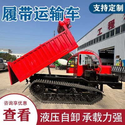 全地形履帶運輸車爬山虎10噸拉沙石果園 工程爬坡橡膠履帶托運車