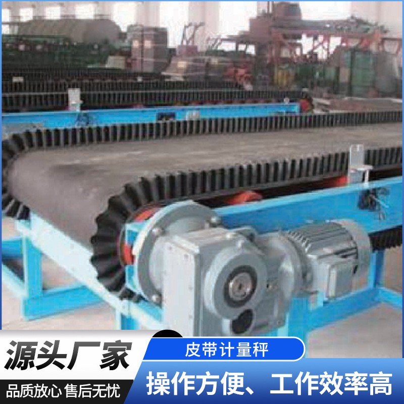 電子皮帶計量秤工廠供應 高精度電子皮帶秤稱重給煤機 計量皮帶秤