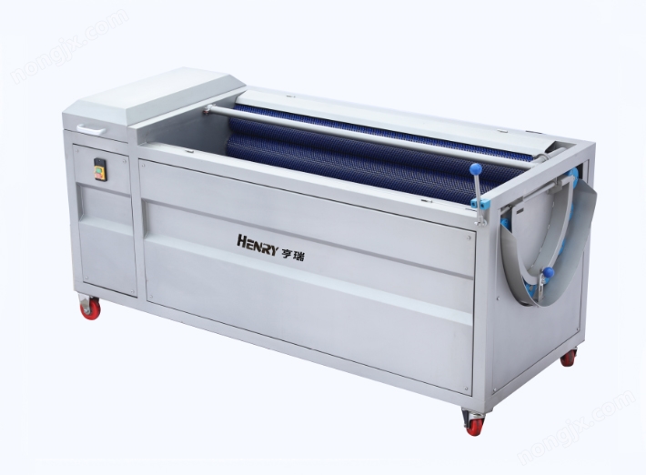 中型紅棗、核桃清洗機(jī)(圖1)