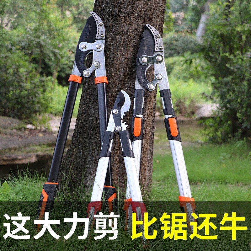 跨境外貿(mào)粗枝剪大力剪伸縮果樹修枝剪加長SK5園林剪刀強(qiáng)力樹枝剪