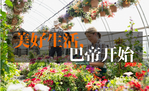 巴蒂產品詳情