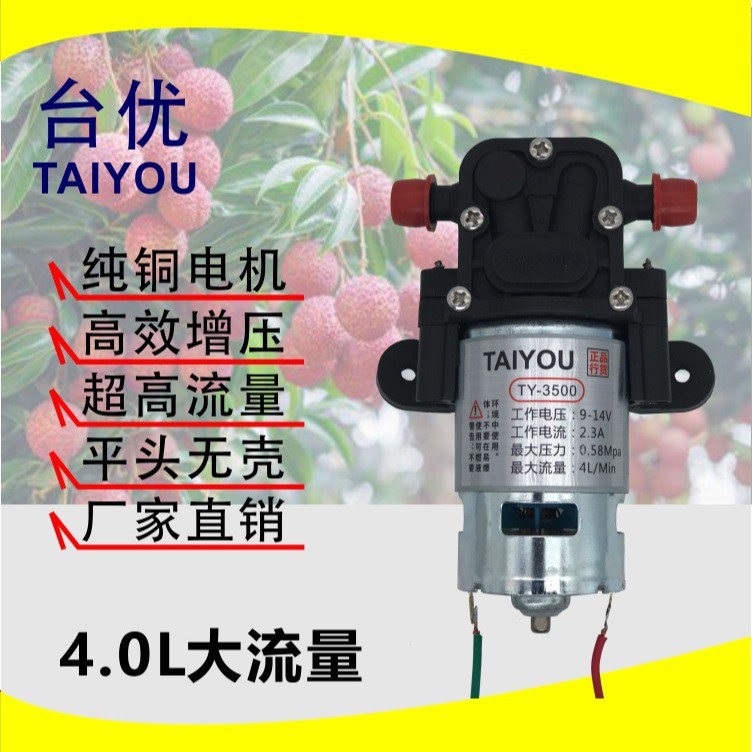 噴霧器水泵臺優水泵 平頭泵 12V，4L，高壓大功率隔膜泵洗車水泵
