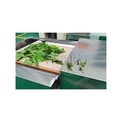 微波桑葉烘干機