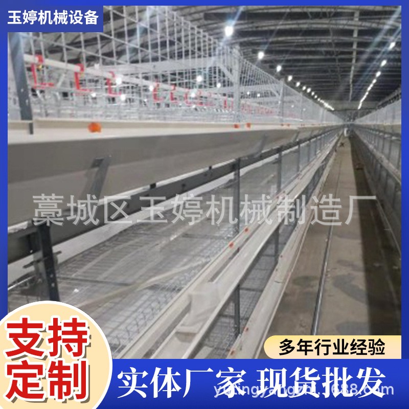 全自動層疊蛋雞籠子養(yǎng)殖雞籠具籠養(yǎng)雞用設(shè)備階梯式雞籠蛋雞籠養(yǎng)殖