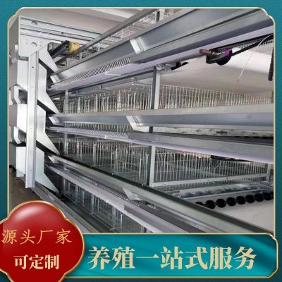 廠家批發(fā)全自動(dòng)小層疊蛋雞養(yǎng)殖籠具籠養(yǎng)雞用設(shè)備三層四層蛋雞籠