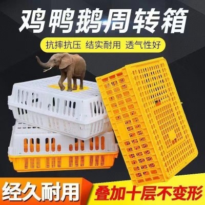 養(yǎng)殖場雞框運輸塑料家禽周轉(zhuǎn)箱筐成雞鴨鴿字周轉(zhuǎn)箱家用加厚雞框