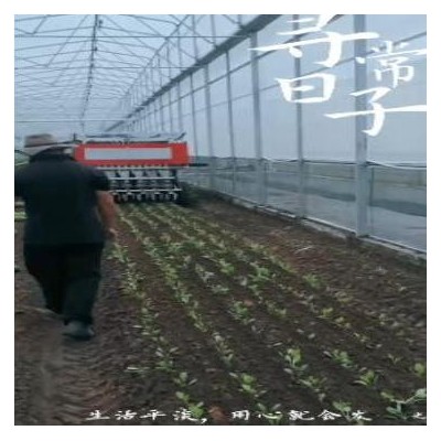 蔬菜移栽機