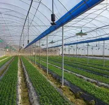 福州雨順灌溉設備廠家-福州果園自動打藥設備（面議）