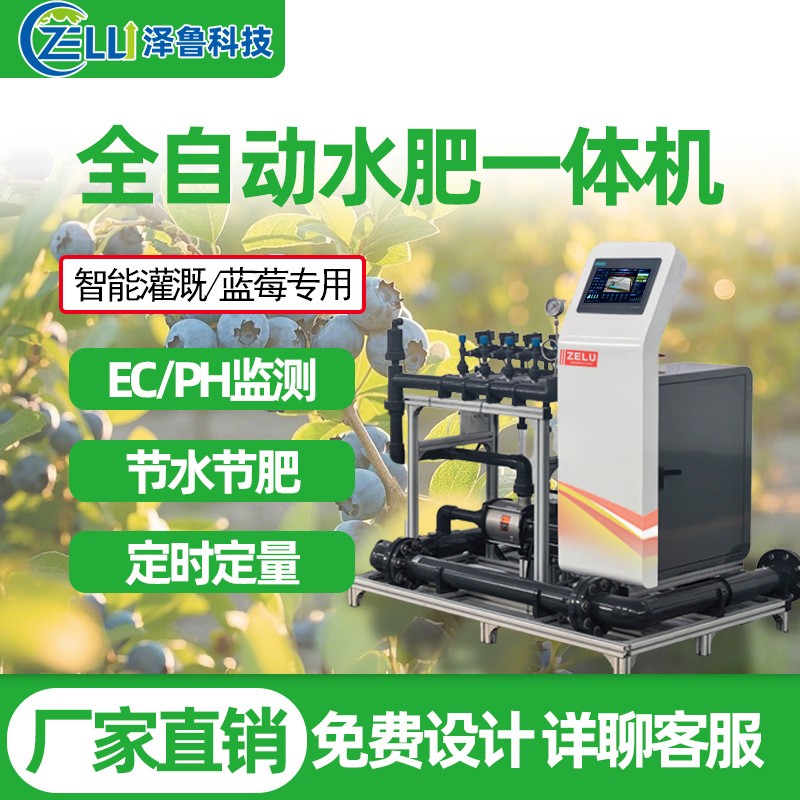 水肥一體機(jī)藍(lán)莓精量農(nóng)業(yè)全智能果園農(nóng)田大棚過(guò)濾滴噴灌溉 施肥設(shè)備