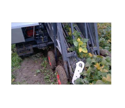 保田BT青毛豆收獲機(jī)