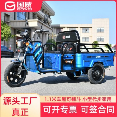 國威電動三輪車小型載人載貨農(nóng)用家用載重拉貨電瓶車電動車擺攤新 1輛