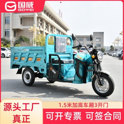 國威電動車電動三輪車送貨載貨家用擺攤農(nóng)用翻斗載人電瓶車大功率 1輛