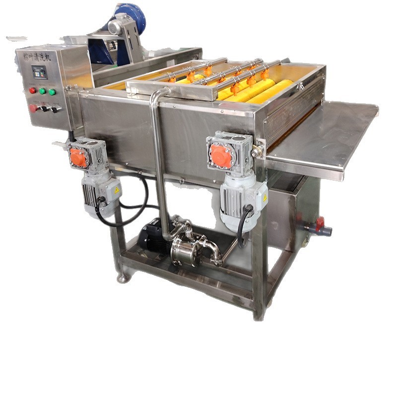 毛輥清洗設備 荷葉清洗流水線 粽葉 芭蕉葉 蘆葦葉商用大型清洗機