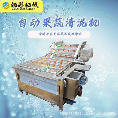 果蔬氣泡清洗機西藍花生菜噴淋清洗芹菜小米辣凈菜果蔬清洗設備廠