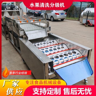 工廠用果蔬清洗打蠟分級流水線沃柑清洗加工線橙子清洗風(fēng)干選果機(jī)