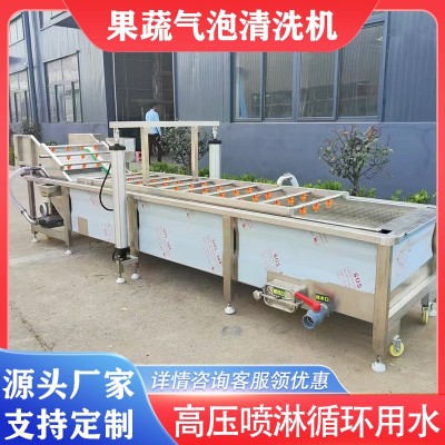 芹菜大蔥氣泡清洗枇杷楊梅鼓浪式清洗機黃芪人參去泥沙清洗設備